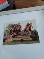 PAARDEN. SPRING CONCOURS, Ophalen of Verzenden, 1980 tot heden, Sport en Spel