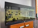 Aquarium, Dieren en Toebehoren, Ophalen, Zo goed als nieuw, Leeg aquarium