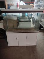 Aquarium met onderkast, Ophalen, Zo goed als nieuw, Leeg aquarium