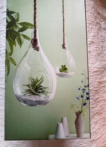 Glazen stolp/druppel/planten beschikbaar voor biedingen