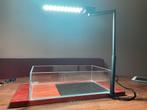 Chihiros CII RGB lamp incl voetplaat en Wio Vistas, Ophalen of Verzenden, Zo goed als nieuw, Leeg aquarium