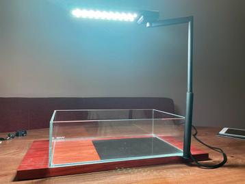 Chihiros CII RGB lamp incl voetplaat en Wio Vistas beschikbaar voor biedingen