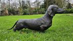 Bronzen beeld / TECKEL / 73 cm lang / tekkel, Nieuw, Info@huisentuindecoratiemarie.nl, Dierenbeeld, Huis en tuin decoratie Marie
