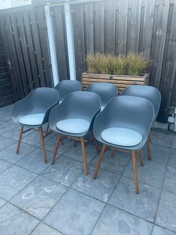 6 grijze tuinstoelen met kussens (kuipstoelen) beschikbaar voor biedingen