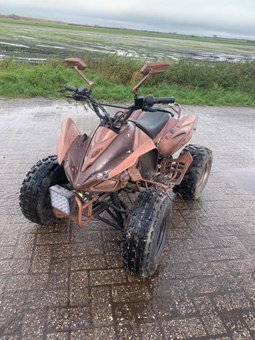 Kinder quad 125 cc met kar beschikbaar voor biedingen