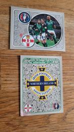 Panini EK 2016 Noord Ierland, Ophalen of Verzenden, Zo goed als nieuw