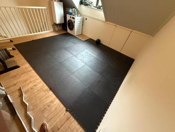Gorilla Fitness (sportschool) vloer beschikbaar voor biedingen