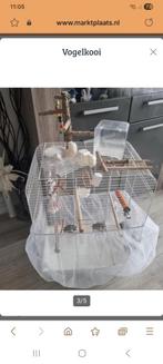 Vogelkooi, Ophalen, Zo goed als nieuw, Metaal, Vogelkooi
