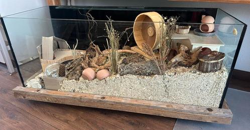 Terrarium 130X50 cm, Dieren en Toebehoren, Knaagdieren en Konijnen | Hokken en Kooien, Gebruikt, Hok, Minder dan 60 cm, 110 cm of meer