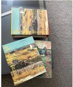 Vincent van Gogh - tekeningen & schilderijen 2 delen in box, Boeken, Kunst en Cultuur | Beeldend, Nieuw, Schilder- en Tekenkunst