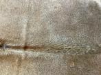 Koeienhuid vloerkleed koe koeienhuiden koevel koehuid 752, Beige, Scandinavisch modern landelijk stoer, Ophalen of Verzenden, 200 cm of meer