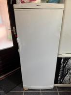 Proline Ruime Koelkast, Ophalen of Verzenden, Zo goed als nieuw, Vrijstaand, 160 cm of meer