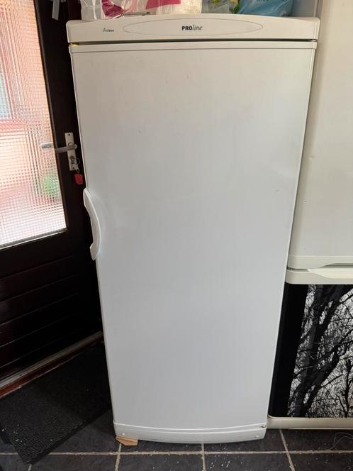 Proline Ruime Koelkast HONDERD EURO, Witgoed en Apparatuur, Vriezers en Diepvrieskisten, Zo goed als nieuw, Vrijstaand, 160 cm of meer