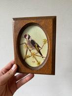 Vintage Schilderijtje met Vogel, Gesigneerd, Houten Lijst, Minder dan 50 cm, Gebruikt, Ophalen of Verzenden, Minder dan 50 cm