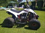 Yamaha raptor yfm 350 R-W, Motoren, Quads en Trikes, 349 cc, 1 cilinder, 12 t/m 35 kW