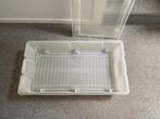 Lage plastic bak op wieltjes, Ophalen, Gebruikt, 40 tot 60 cm, 50 tot 75 cm