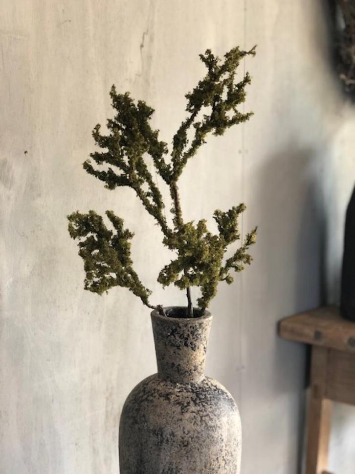 MOOI MOS TAK mostakken bijna echt voor in vaas of decoratie, Huis en Inrichting, Woonaccessoires | Kunstplanten en Kunstbloemen