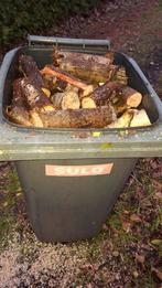 Stammen in container (Alleen stammen), Minder dan 3 m³, Ophalen, Berkenhout, Stammen