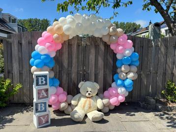 ballonnen backdrop gender reveal beschikbaar voor biedingen