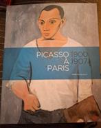 Picasso a Paris 1900-1907, Ophalen of Verzenden, Zo goed als nieuw