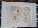 Aquarel zeesterren, Antiek en Kunst, Ophalen of Verzenden