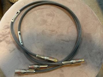 Shunyata VENOM XLR kabel 1M  beschikbaar voor biedingen