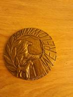 Penning Wereldwinner '85 Amsterdam - Koninklijke Begeer, Ophalen of Verzenden, Koningin Beatrix, Overige waardes, Losse munt