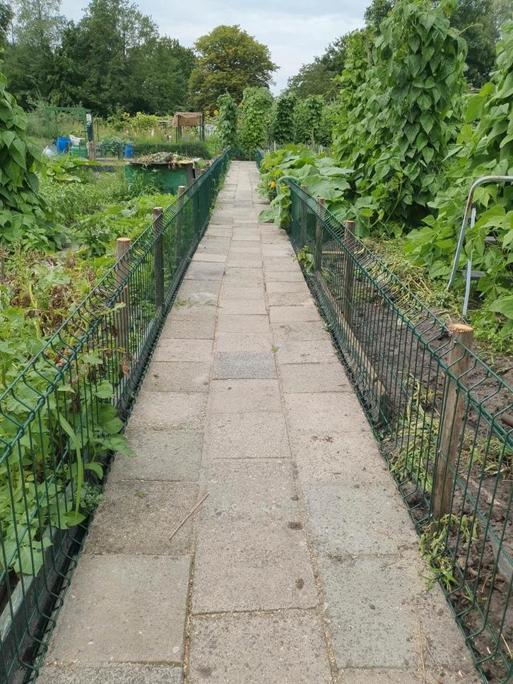 Volkstuin, Tuin en Terras, Tuinhuizen, 3 ramen of meer, Ophalen of Verzenden