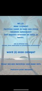 Start je eigen online business, Variabele uren, Overige niveaus, Starter, Overige vormen