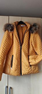 Winter jasje, Kleding | Dames, Jassen | Winter, Ophalen of Verzenden, Gedragen, Geel