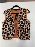 Gilet S, Ophalen of Verzenden, Nieuw, Maat 36 (S), Bruin