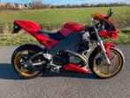 BUELL XB 12 R FIREBOLT (bj 2008) 2057 KM !!, Motoren, Motoren | Buell, Motorrijbewijs A, Bedrijf, Onbekend, Onbekend