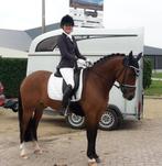 Bijrijder aangeboden