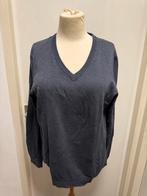 Bertoni heren v-hals trui maat L voor 10 euro, Ophalen of Verzenden, Zo goed als nieuw, Maat 52/54 (L), Blauw
