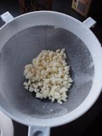 Melk kefir korrels, Diversen, Levensmiddelen, Ophalen