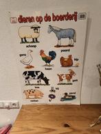 Geplastificeerde poster: Dieren op de Boerderij, Antiek en Kunst, Ophalen