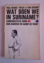 Wat gaan we doen in Suriname, Boeken, Han Hansen Gabri de Wagt, Ophalen of Verzenden, 20e eeuw of later, Gelezen