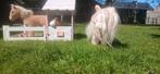Leuke paarden stal, Ophalen of Verzenden, Zo goed als nieuw