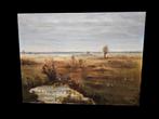 Schilderij Landschap met vennen. Gesign., Ophalen of Verzenden