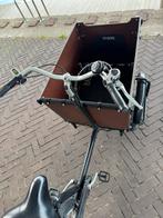 Babboe Dog-E Bakfiets, Gereviseerd & Goed Onderhouden!, Gebruikt, Elektrisch, 2 kinderen, Ophalen