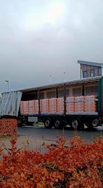 Hout Pellets Naaldhout houtkorrel Pure Power Pelletkachel, 6 m³ of meer, Ophalen, Overige houtsoorten, Blokken