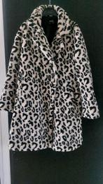 Mooie teddy jas, Kleding | Dames, Jassen | Winter, Ophalen of Verzenden, Zo goed als nieuw