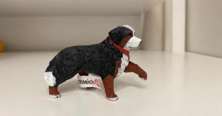 Schleich McDonald’s Berner Sennen hond Happy Meal 10b, Ophalen of Verzenden, Zo goed als nieuw, Hond of Kat, Beeldje of Figuurtje
