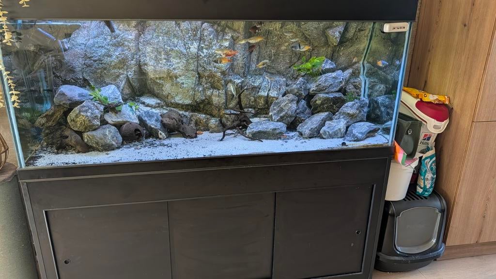 Aquarium 160x60x60, Dieren en Toebehoren, Vissen | Aquaria en Toebehoren, Ophalen