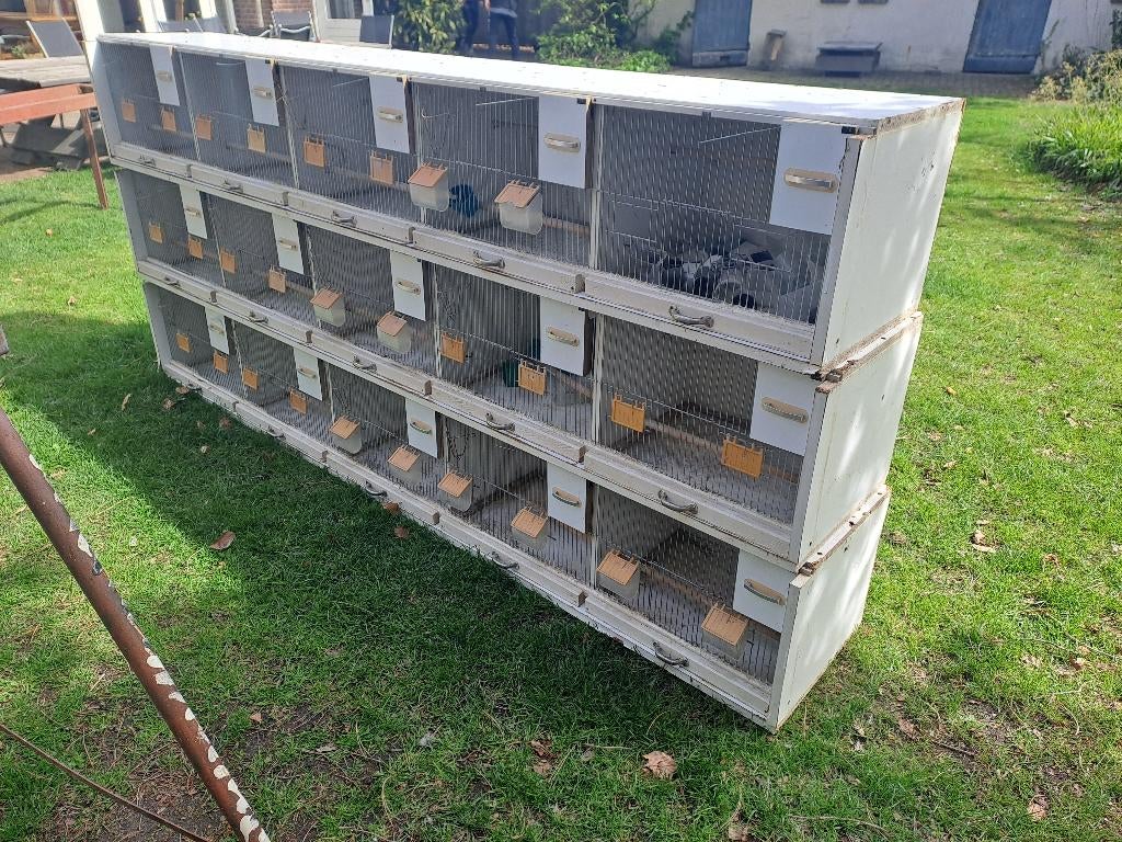 broedkooi, kweekkooi, Dieren en Toebehoren, Vogels | Hokken en Kooien, Ophalen, Gebruikt, Hout, Broedkooi of Kweekkooi