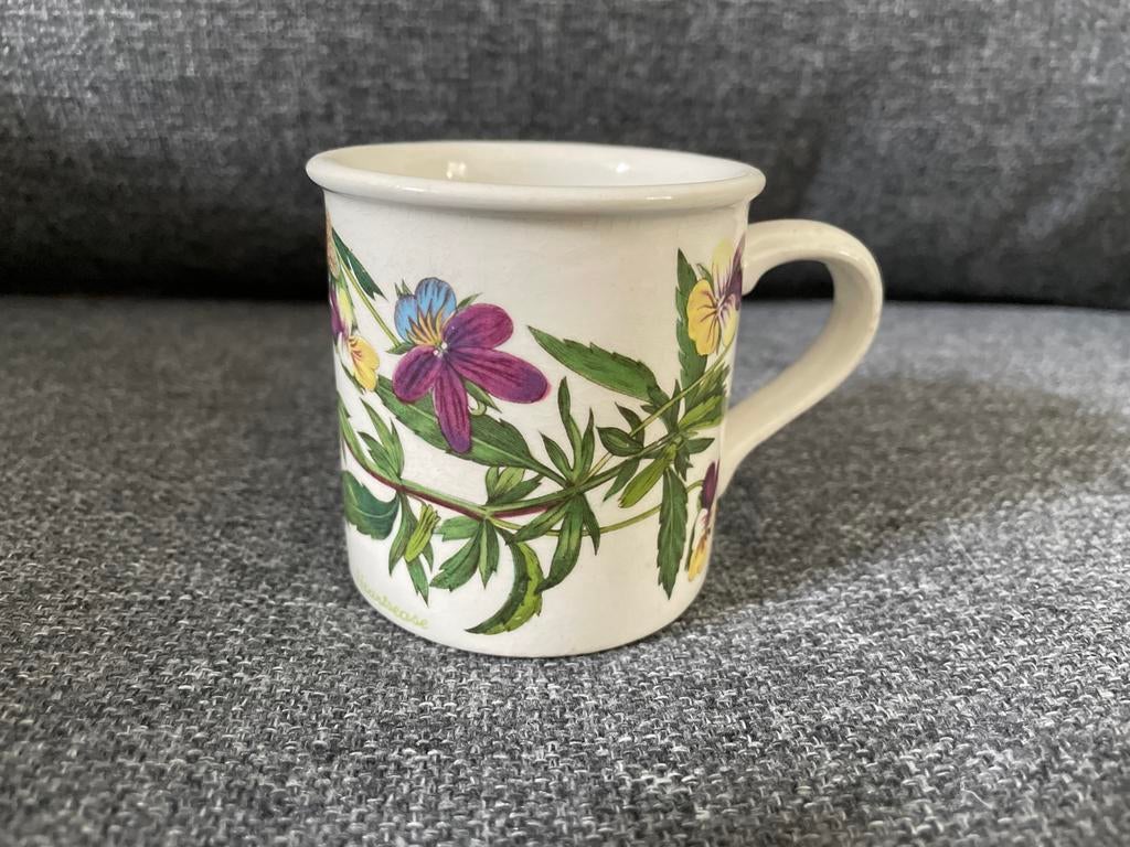 Koffie kopje mok The Botanic Garden Portmeirion, Gebruikt, Ophalen of Verzenden, Overige stijlen, Kop(pen) en/of Schotel(s)