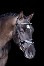 Knappe en Lieve Allrounder Te koop, Dieren en Toebehoren, Pony's, Ruin, Z, 11 jaar of ouder