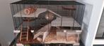 mooie hamster kooi, Dieren en Toebehoren, Ophalen