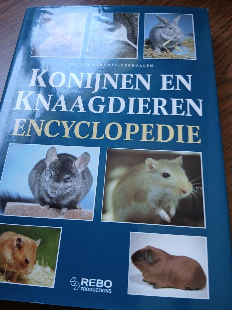 Konijnen en Knaagdieren Encyclopedie - Esther Verhoef, Boeken, Ophalen of Verzenden, Gelezen, Konijnen of Knaagdieren, Esther Verhoef-Verhallen