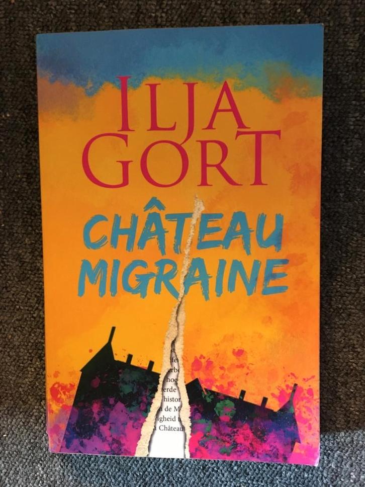 Chateau migraine ; door Ilja Gort #Thriller #Frankrijk, Boeken, Romans, Gelezen, Europa overig, Ophalen of Verzenden